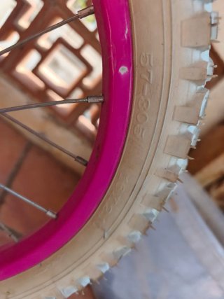 Bicicleta Frozen Infantil con Ruedines