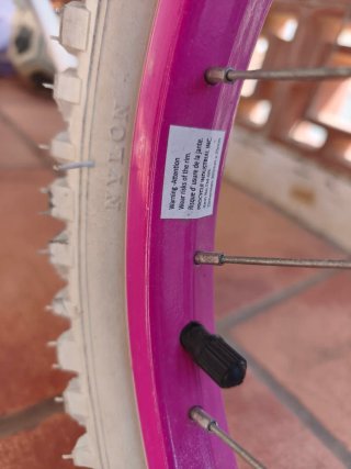 Bicicleta Frozen Infantil con Ruedines
