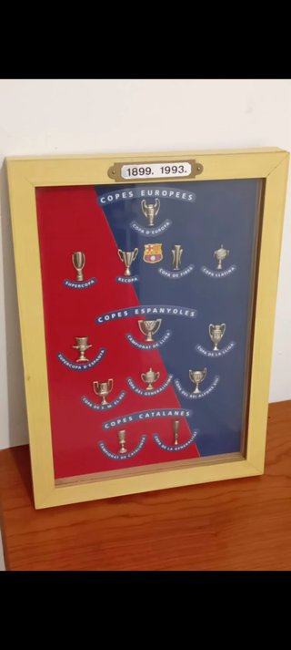Cuadro trofeos FC Barcelona 1899-1993 - Colección