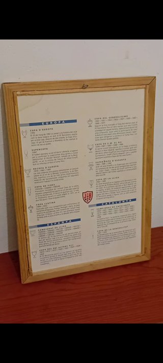 Cuadro trofeos FC Barcelona 1899-1993 - Colección