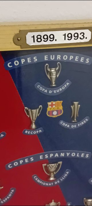 Cuadro trofeos FC Barcelona 1899-1993 - Colección