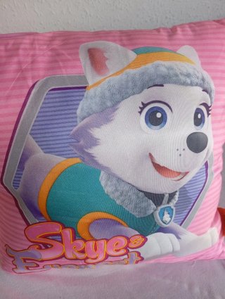 Cojín Skye y Everest Patrulla Canina