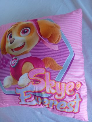 Cojín Skye y Everest Patrulla Canina