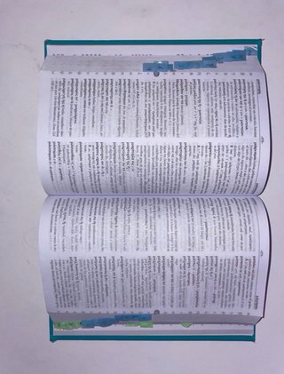 Diccionario manual griego clásico-español