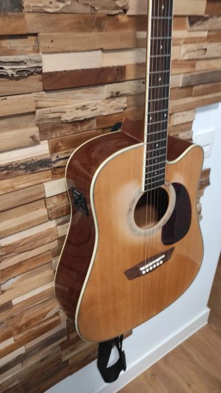 Guitarra Acústica Washburn