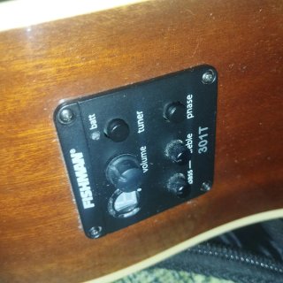 Guitarra Acústica Washburn