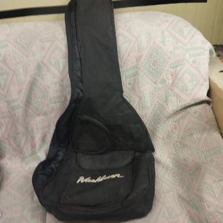 Guitarra Acústica Washburn