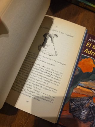 Lote 2 libros la runa secreta, el talismán del Adr