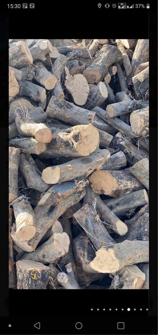 Leña de Olivo Seca