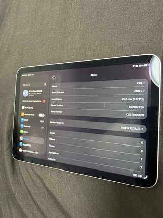 Apple iPad mini Plata