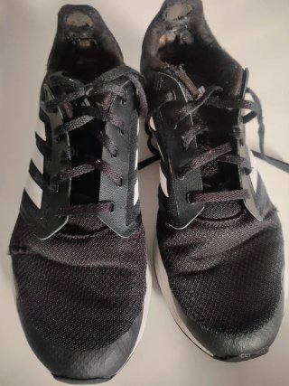 Lote Zapatillas Deportivas Hombre Skechers y Adida