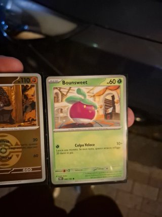 Carte Pokémon Carkol e Bounsweet