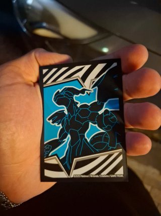 Carte Pokémon Carkol e Bounsweet