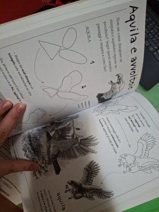 Pittura a olio e come disegnare