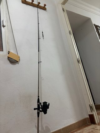 Caña de spinning 2,10m