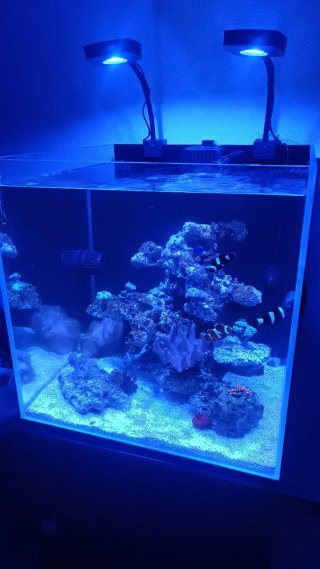 Gran cubic Blau