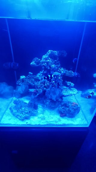 Gran cubic Blau