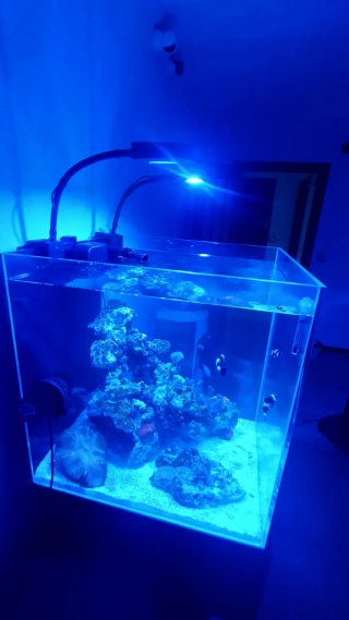 Gran cubic Blau