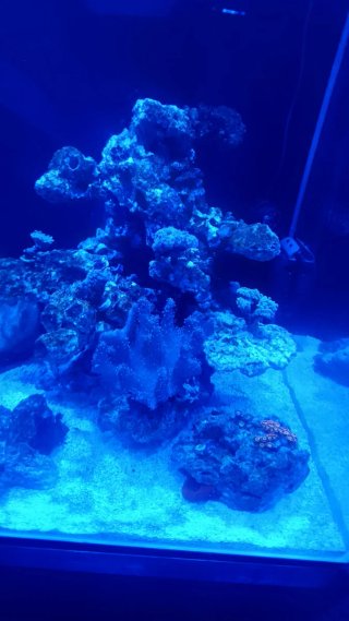 Gran cubic Blau