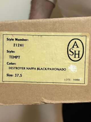 Stivali Ash Tempt