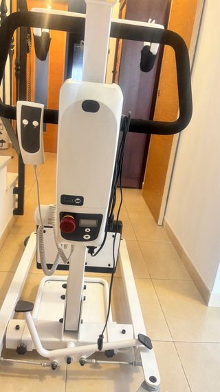 Grúa de bipedestación