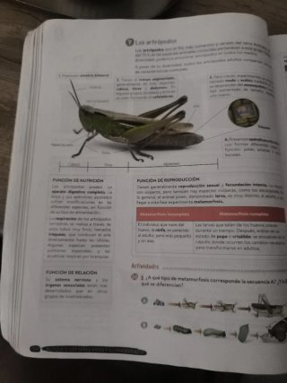 Biología y Geología 1º ESO. Libro del estudiant...