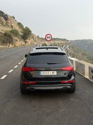 Audi SQ5 2014