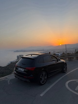 Audi SQ5 2014