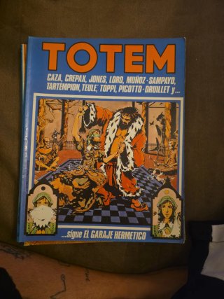 Cómics o tebeos TOTEN 25 ,37 ,34 ,33 , 32