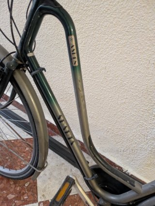 Bicicleta Holandesa Clásica