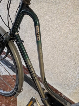 Bicicleta Holandesa Clásica