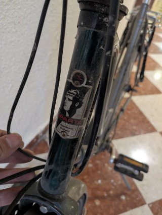 Bicicleta Holandesa Clásica