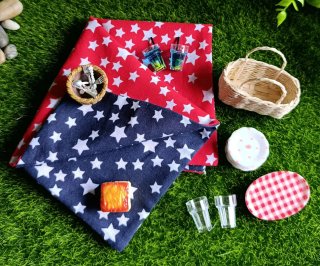 Barbie set picnic miniatura escala 1/6 reversible