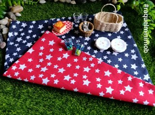 Barbie set picnic miniatura escala 1/6 reversible