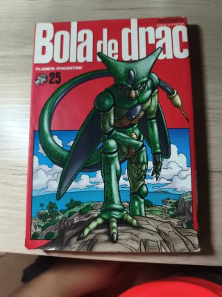 Bola de Drac 25