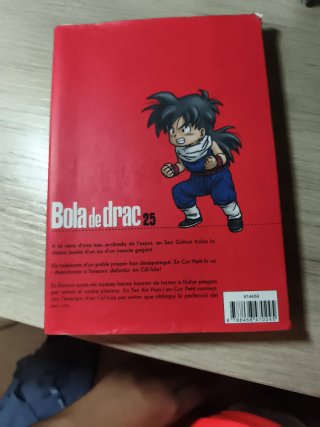 Bola de Drac 25