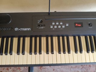 Teclado Eléctrico con pedal.
