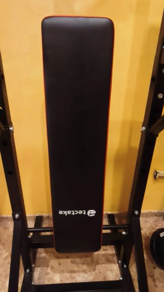 Estación de dominadas Tectake