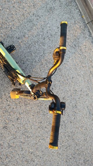 Bicicleta Brompton black edition 6v