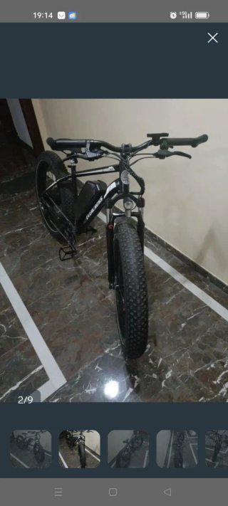 Fat Bike eléctrica Evercross
