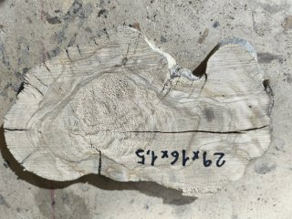 Rodaja de Olivo 1.5 cm de grosor