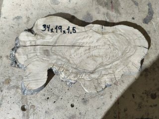 Rodaja de Olivo 1.5 cm de grosor