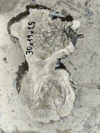 Rodaja de Olivo 1.5 cm de grosor
