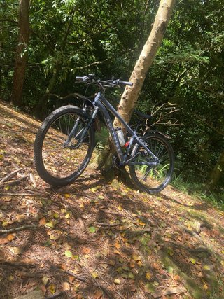 Bicicleta MTB Rockrider Gris