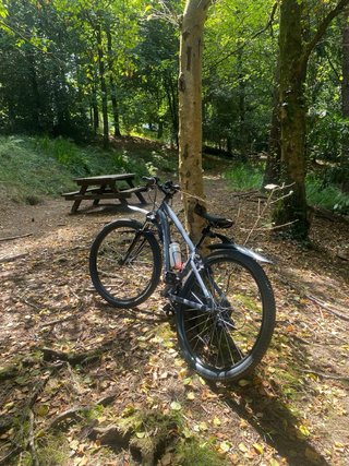 Bicicleta MTB Rockrider Gris