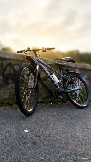 Bicicleta MTB Rockrider Gris