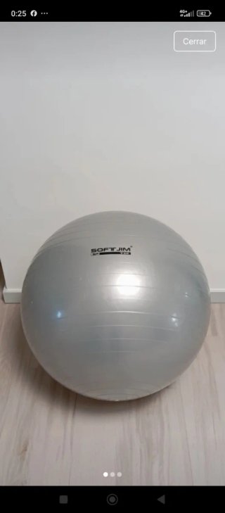 Pelota de Pilates SOFTJIM Gris