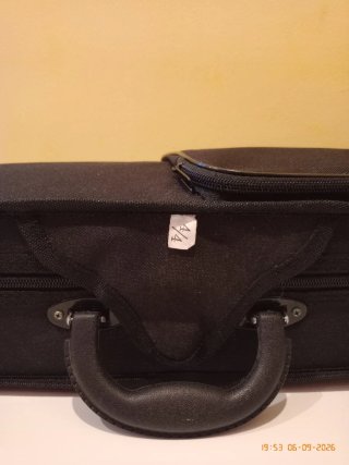 Violín 4/4 Forenza