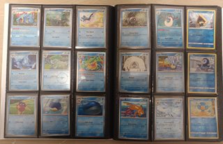 Álbum Pokémon Eevee Teracristal + Lote Cartas