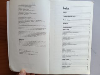 Lote de dos guías generales de Alemania